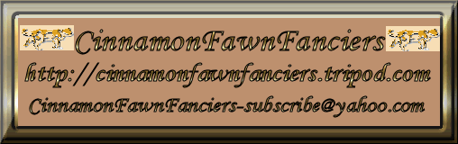 cinnamon fawn fanciers@yahoogroups.com, Cinnamon Orientals, Cinnamon Point Siamese